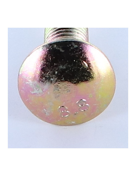 1 x TRCC JAPY tête ronde collet carré M12X50 Collet bas Classe 8.8 Acier zingué 200 Heures brouillard salin sans
