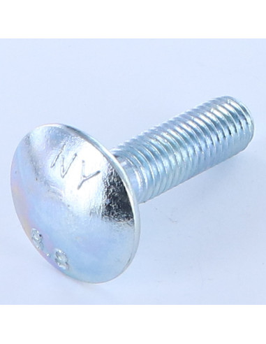 1 x TRCC JAPY tête ronde collet carré M12X45...