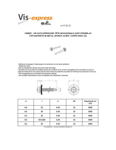 Vis autoperceuse Bimétal Acier / Inox A4 Tête hexagonale... 2