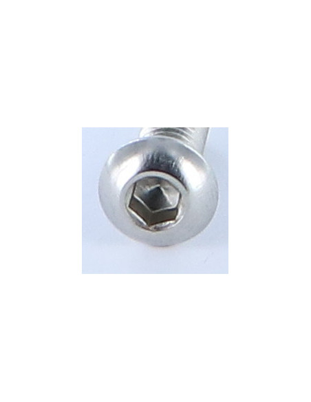 1 x Vis métaux BHC (Tête Bombée Hexagonal creux) M8X20 Filetage total Clé de 5 HC5 Inox A4