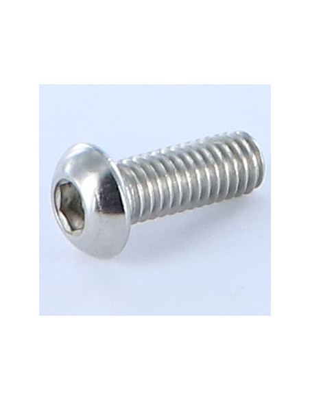 1 x Vis métaux BHC (Tête Bombée Hexagonal creux) M6X20 Filetage total Clé de 4 HC4 Inox A4