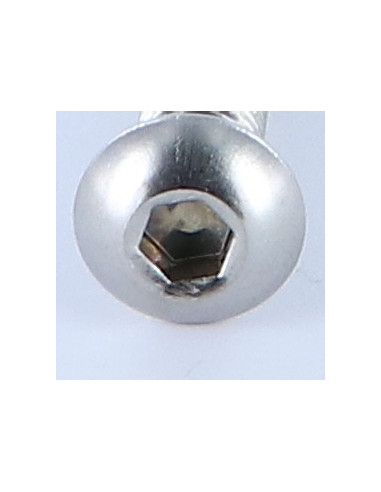 1 x Vis métaux BHC (Tête Bombée Hexagonal...