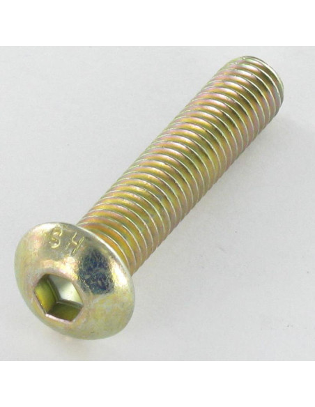 1 x Vis métaux BHC (Tête Bombée Hexagonal creux) M5X12 Filetage total Classe 10.9 Clé de 3 HC3 Bichromaté