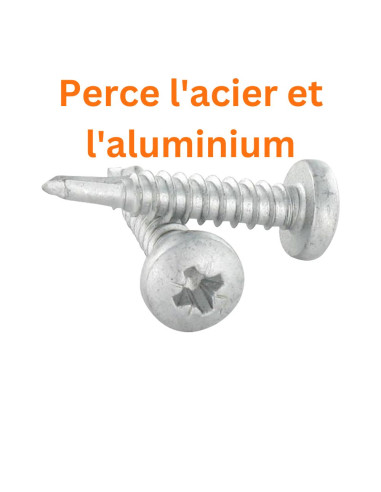 1 x Vis autoperceuse Tête cylindrique TC Pozi...