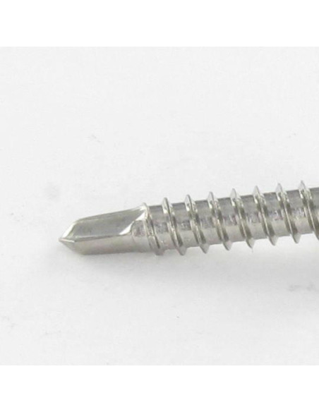 1 x Vis autoperceuse Tête cylindrique bombée TCB TORX T15 3.9X19 Inox A2
