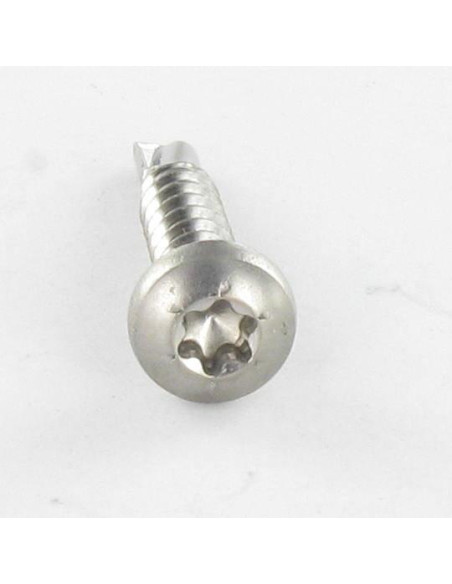 1 x Vis autoperceuse Tête cylindrique bombée TCB TORX T15 3.9X19 Inox A2