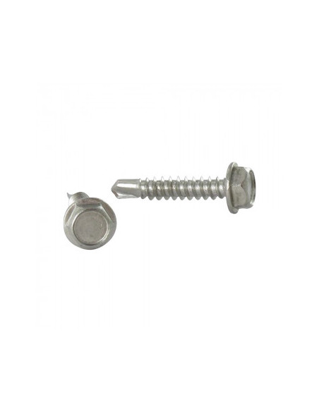 1 x Vis autoperceuse Tête hexagonale TH 6.3X19 Inox A4