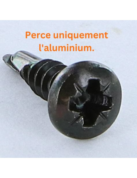 1 x Vis autoperceuse Inox A2 Noir Tête cylindrique bombée TCB Pozi 3.5X13