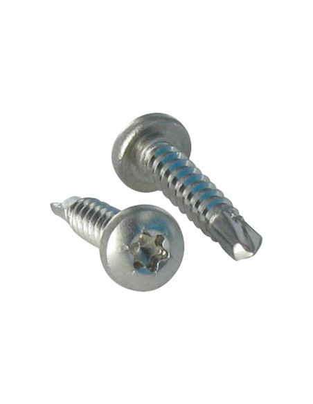 1 x Vis autoperceuse Tête cylindrique bombée TCB TORX T25 4.8X50 Inox A2