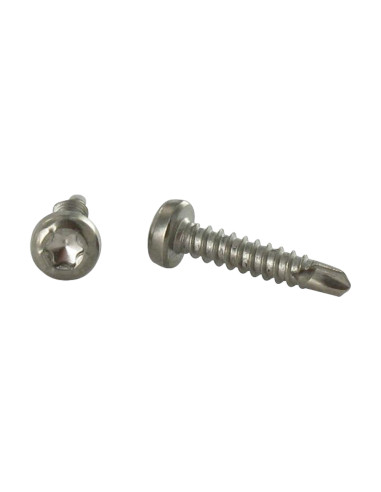 1 x Vis autoperceuse Tête cylindrique TC TORX...
