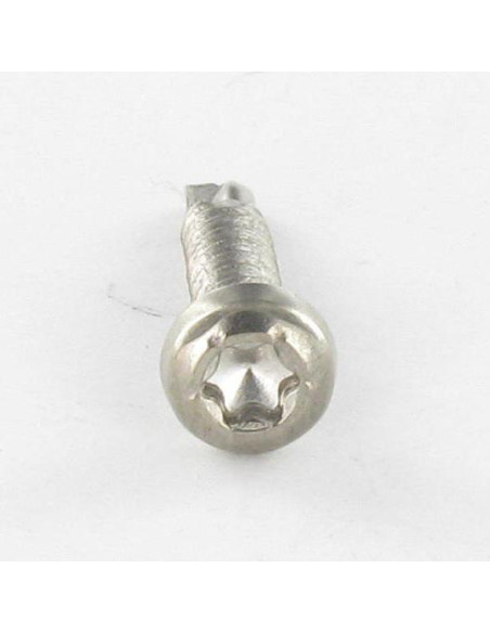 1 x Vis autoperceuse Tête cylindrique TC TORX T15 3.9X19 Inox A4