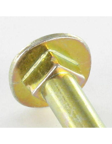 1 x Vis bois TRCC JAPY tête ronde collet carré 6X50 Hexagonal creux 4 Acier zingué