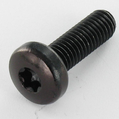 1 x Vis métaux tête cylindrique bombée large M4X6 TORX T20 Acier zingué noir