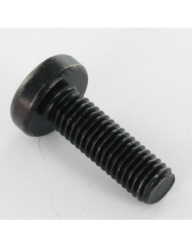 1 x Vis métaux tête cylindrique bombée large...