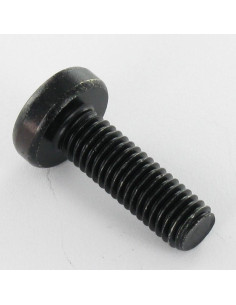 Vis métaux tête cylindrique bombée large TORX T30 M6X12... 2