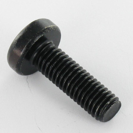 1 x Vis métaux tête cylindrique bombée large TORX T30 M6X12 Acier zingué noir