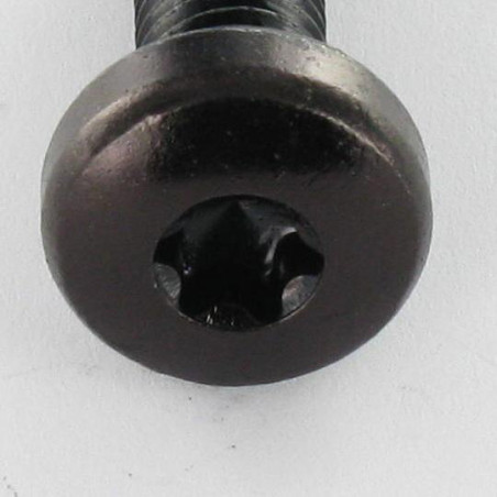 1 x Vis métaux tête cylindrique bombée large TORX T30 M6X12 Acier zingué noir