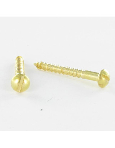 1 x Vis bois Laiton Tête ronde TR Fendue 6X40
