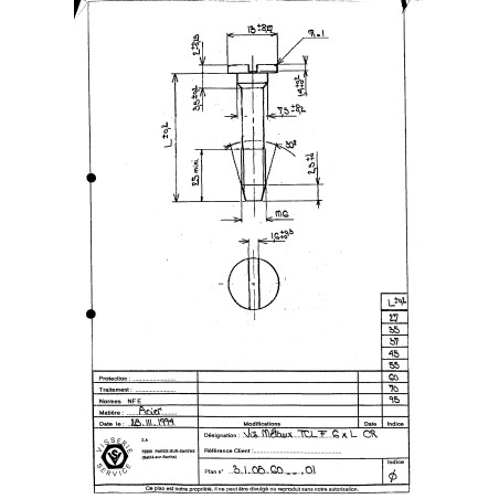1 x Vis métaux Tête cylindrique large TCL Fendue M6X45 Cranté Acier brut