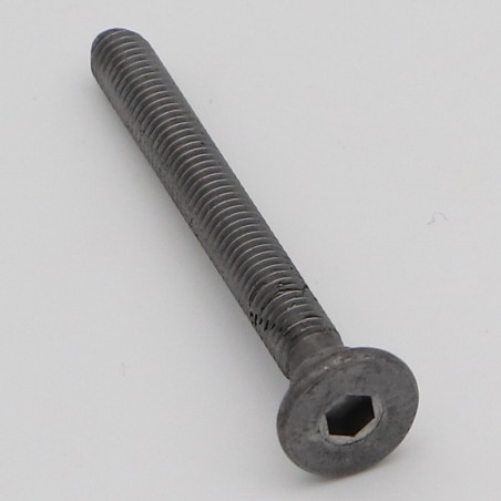 1 x Vis métaux Tête cylindrique large TCL Hexagonal creux M6X55 Cranté Acier brut