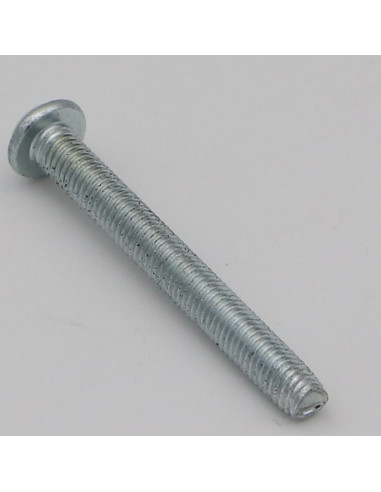 1 x Vis autotaraudeuse Tête poelier Pozi 5X45 CR3+