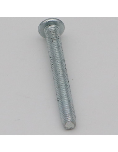 1 x Vis autotaraudeuse Tête poelier Pozi 5X45 CR3+