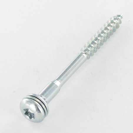 1 x SAV Poelier 7X90 Filetée sur 50 TORX T40 Imperdable Acier zingué 96HBSB