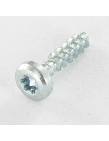1 x VBA Vis bois agglo Tête ronde TR TORX T20...