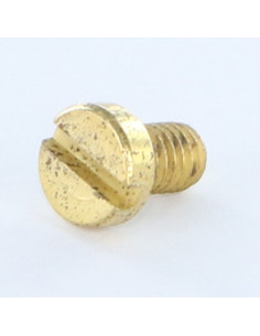Vis métaux Tête cylindrique TC Fendue M4X6 Acier laitonne