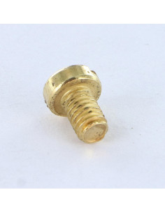 Vis métaux Tête cylindrique TC Fendue M4X6 Acier laitonne 2