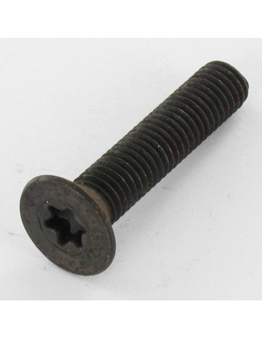 1 x Vis métaux Tête fraisée TORX T30 M6X35...