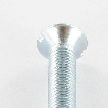 1 x Vis métaux Tête fraisée Fendue M5X25 Acier zingué