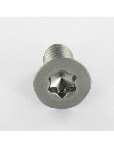 1 x Vis métaux Tête fraisée TORX T30 M6X40...