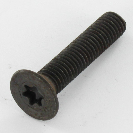 1 x Vis métaux Tête fraisée TORX T30 M6X25 Classe 10.9 Acier brut