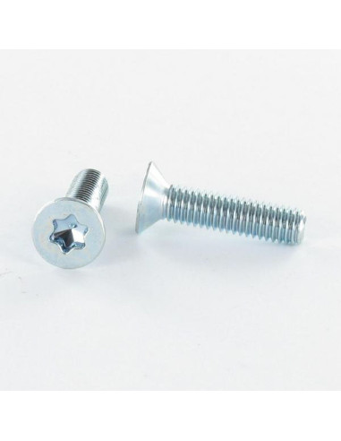 1 x Vis métaux Tête fraisée TORX T20 M4X16...