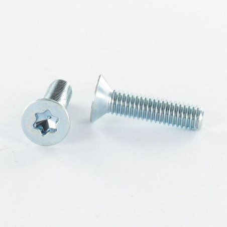 1 x Vis métaux Tête fraisée TORX T25 M5X10 Acier zingué