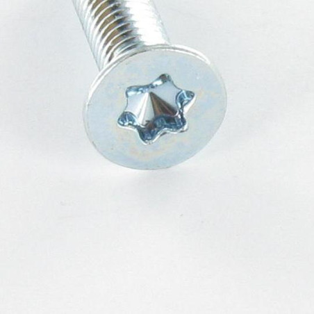 1 x Vis métaux Tête fraisée TORX T25 M5X10 Acier zingué
