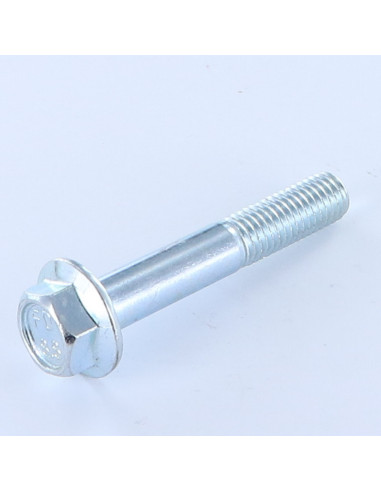 1 x Vis métaux Tête hexagonale TH M10X60...