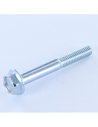 1 x Vis métaux Tête hexagonale TH M6X45...