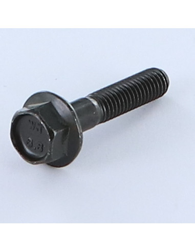 1 x Vis métaux Tête hexagonale TH M6X30 Filetée...