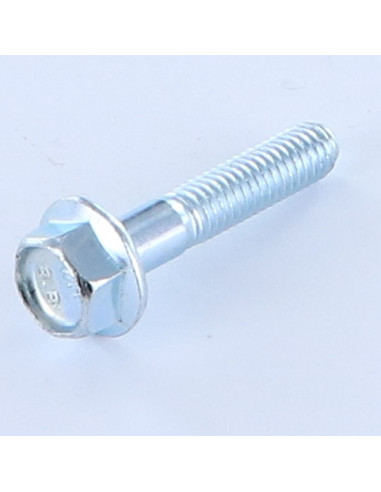 1 x Vis métaux Tête hexagonale TH M6X30 Filetée...