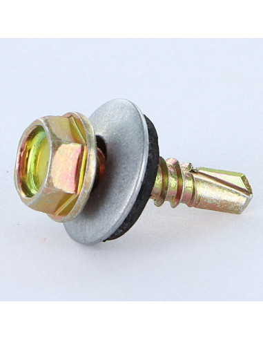 1 x Vis autoperceuse Tête hexagonale TH 4.8X19...