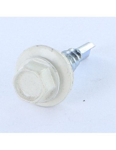 1 x Vis autoperceuse Tête hexagonale TH 5.5X25...