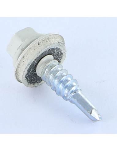 1 x Vis autoperceuse Tête hexagonale TH 5.5X25...