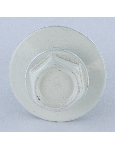 1 x Vis autoperceuse Tête hexagonale TH 5.5X25...