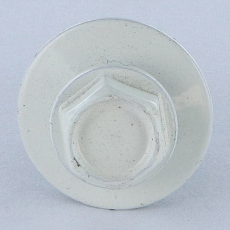 1 x Vis autoperceuse Tête hexagonale TH 4.8X19 Rondelle d'étanchéite EPDM Acier zingué RAL9010 blanc pur