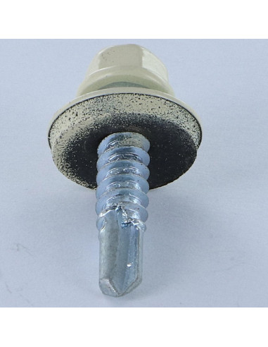 1 x Vis autoperceuse Tête hexagonale TH 5.5X25...