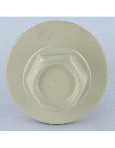 1 x Vis autoperceuse Tête hexagonale TH 5.5X25...