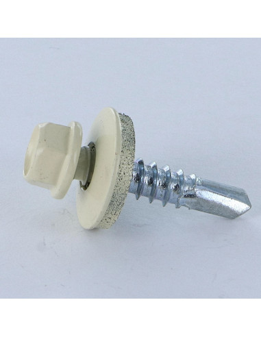 1 x Vis autoperceuse Tête hexagonale TH 5.5X25...