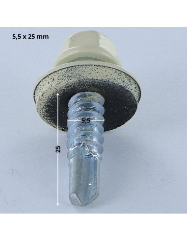 1 x Vis autoperceuse Tête hexagonale TH 5.5X25...